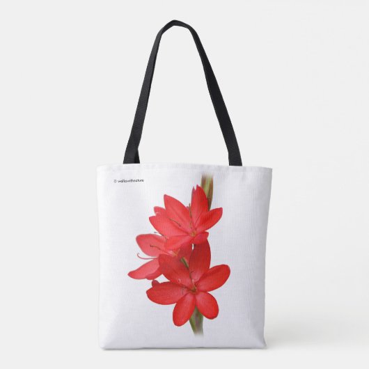 Kaffir-lelie / Rivierlelie / Hesperantha Coccinea Tote Bag (Achterkant)
