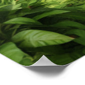 Kagu FM Radio Poster (Hoek)