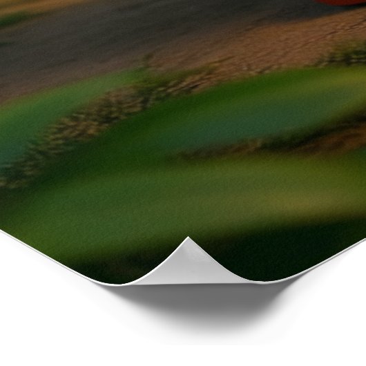 Kagu Potter Poster (Hoek)