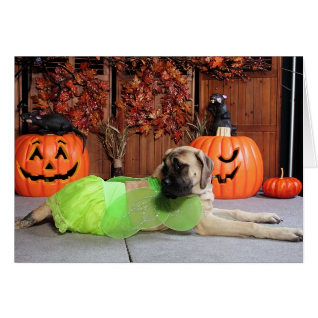 Kahlua - English Mastiff - Phiathep (Voorkant Horizontaal)