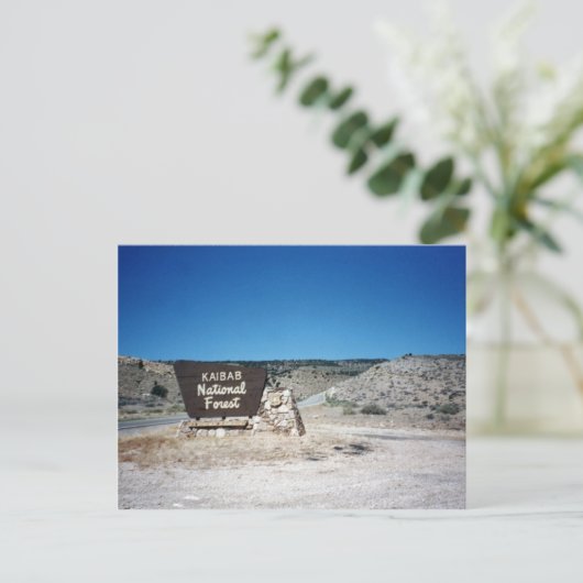 Kaibab National Forest Sign Briefkaart (Staand voorkant)