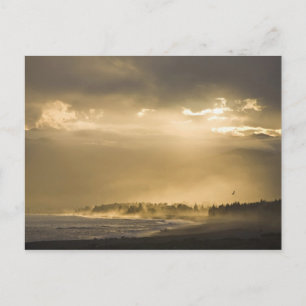 Kaikoura, Nieuw-Zeeland. Kaikoura staat bekend om Briefkaart