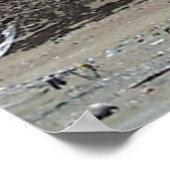 Kailash Freedom Pole Poster (Hoek)