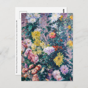Kaillebotte - Witte en Gele Chrysanthema Briefkaart
