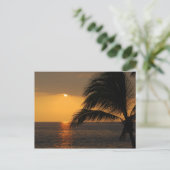 Kailua-Kona, Hawaii, Carte postale Sunset (Debout devant)