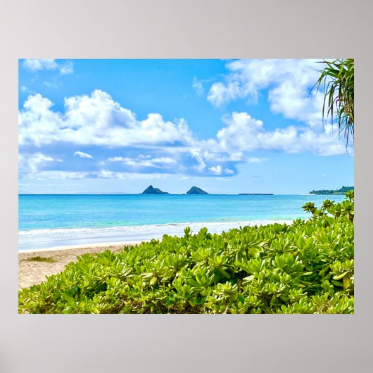 Kailua, Oahu Poster (Voorkant)