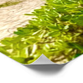 Kailua, Oahu Poster (Hoek)