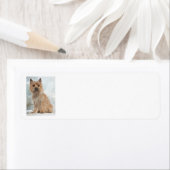 Kairn Terrier Return-label Etiket (Insitu)