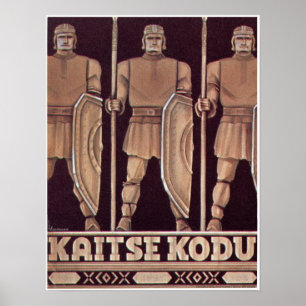 Kaitse Kodu Poster