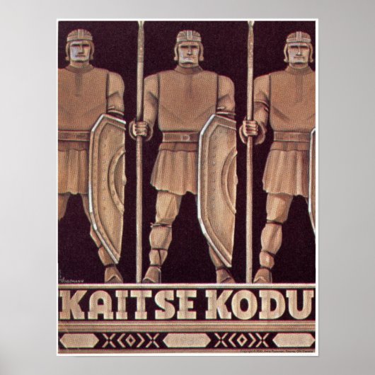 Kaitse Kodu Poster (Devant)