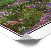 Kajuit in het Lupine Poster (Hoek)