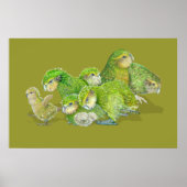Kakapo Chick Creche Poster (Voorkant)