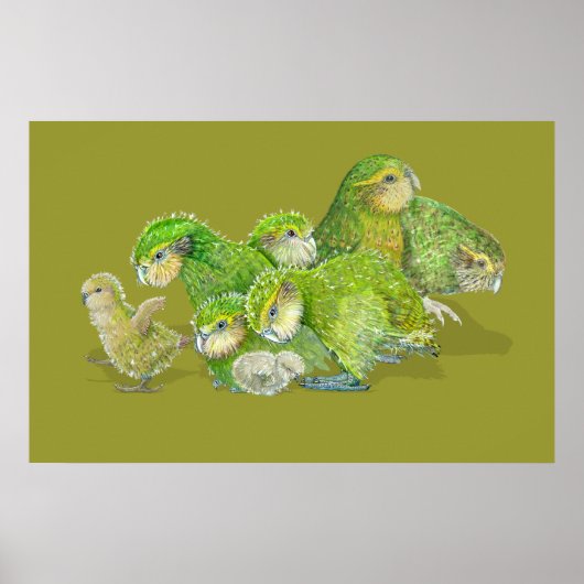 Kakapo Chick Creche Poster (Voorkant)
