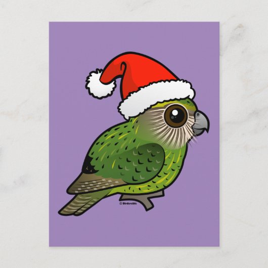 Kakapo Claus Briefkaart (Voorkant)