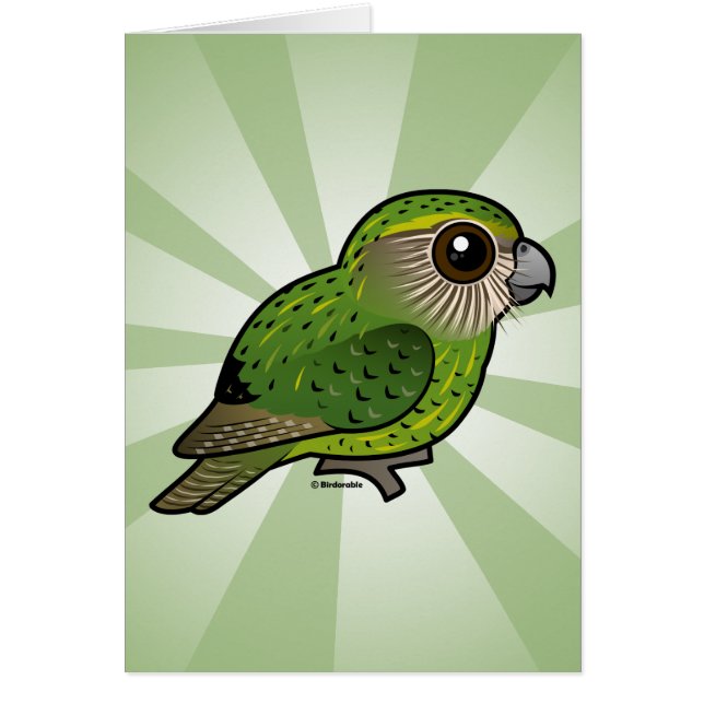 Kakapo de Birdorable (Devant)