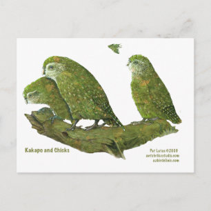 kakapo en kuikens briefkaart