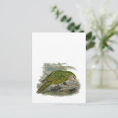 Kakapo Green Owl Parrot, zeldzame vogel illustrati Briefkaart (Staand voorkant)