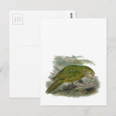 Kakapo Green Owl Parrot, zeldzame vogel illustrati Briefkaart (Voorkant / Achterkant)