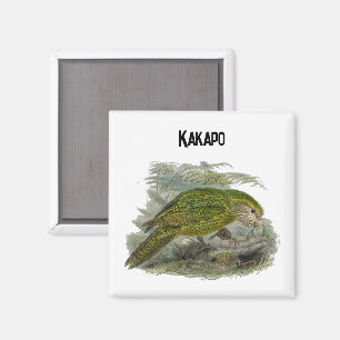 Kakapo Green Owl Parrot, zeldzame vogel illustrati Magneet