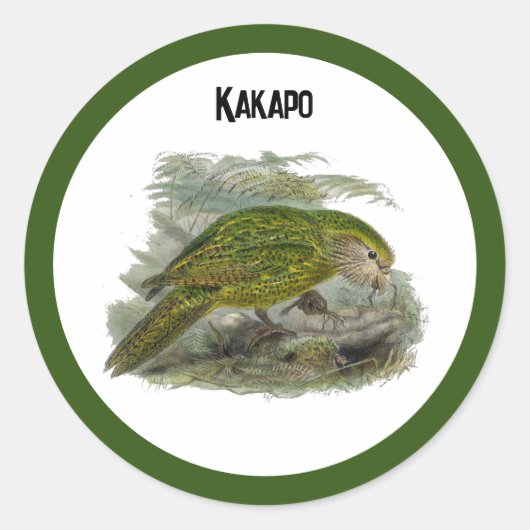 Kakapo Green Owl Parrot, zeldzame vogel illustrati Ronde Sticker (Voorkant)