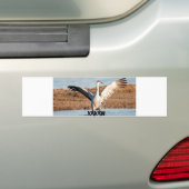 KAKAW Bumper Sticker (En voiture)