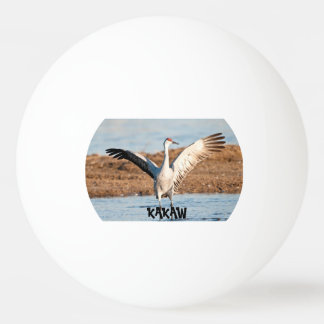 KAKAW Ping Pong Bal Pingpongballen