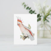 kaketoe papegaaivogel briefkaart (Staand voorkant)