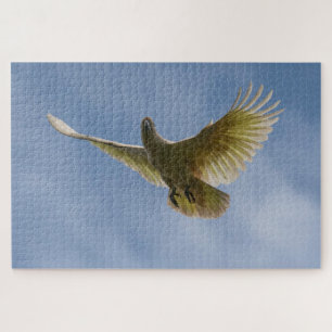 Kaketoe Vogelpapegaai Dierenvliegenhemel, 1014 stu Legpuzzel
