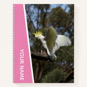 Kaketoen Australië Papegaai Vogel Vleugels, Roze Notitieboek