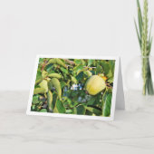 Kakiboom Portret Kaart (Voorkant)