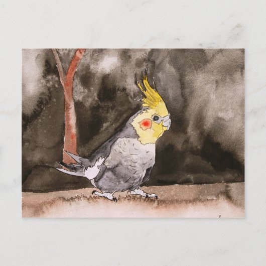 kakkervogelschilderij briefkaart (Voorkant)
