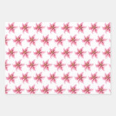 Kala Kids Wrapper Papier à plat Jeu de 3 (Devant 2)