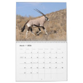 Kalahari ! Mammifères de calendrier de Kgalagadi (Mar 2026)