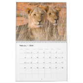 Kalahari ! Mammifères de calendrier de Kgalagadi (Feb 2026)