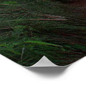 Kalalau Trail Poster (Hoek)