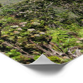 Kalalau Valley, Kauai, Hawaii Poster (Hoek)