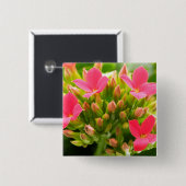 Kalanchoe blossfeldiana vierkante button 5,1 cm (Voorkant /achterkant)