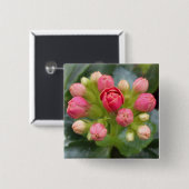 Kalanchoe Buds Vierkante Button 5,1 Cm (Voorkant /achterkant)
