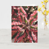 Kalanchoe "papillon s'envole" le carte pour notes (Fleur jaune)