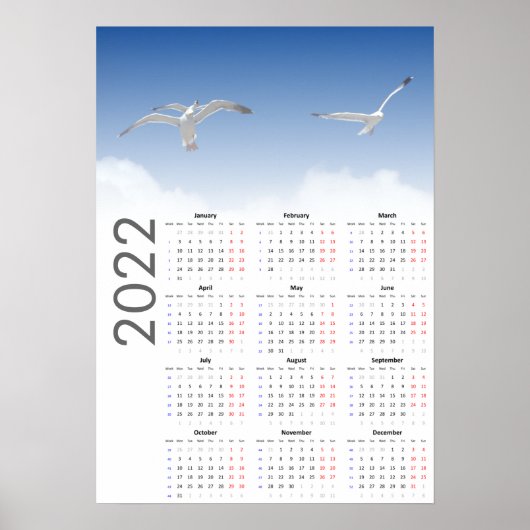 Kalandermuurkalender meeuwen 2022 - week startend poster (Voorkant)