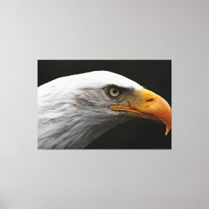 Kale adelaar 60x40 (150x100cm) waccna canvas afdruk