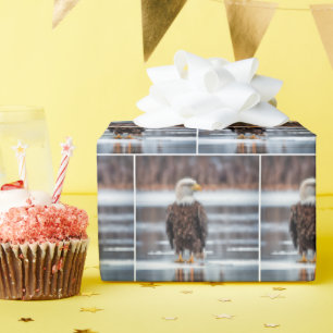 Kale adelaar op het ijsmeer cadeaupapier