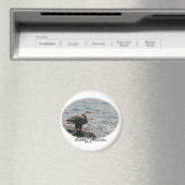 Kale adelaar op het strand magneet (Insitu (Vaatwasser))