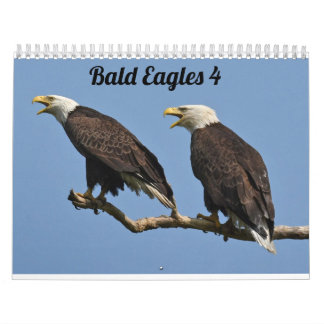 Kale adelaars $ kalender