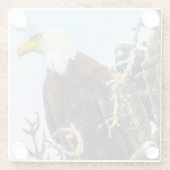 Kale arend met kraai fotobom grappig glazen onderzetter (Achterkant)