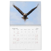 KALE ARENDEN het hele jaar door Kalender (Feb 2026)