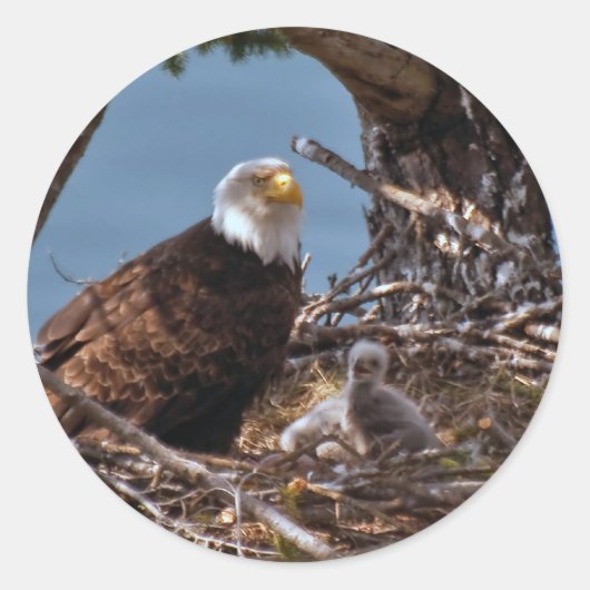 Kale Eagle Chicks - Sticker (Voorkant)