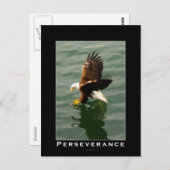 Kale Eagle Motivatie Briefkaarten (Voorkant / Achterkant)