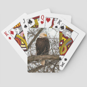 Kale Eagle Pinery Narrows Pokerkaarten