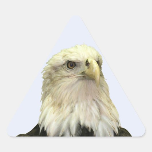 Kale Eagle Triangle Sticker (Voorkant)
